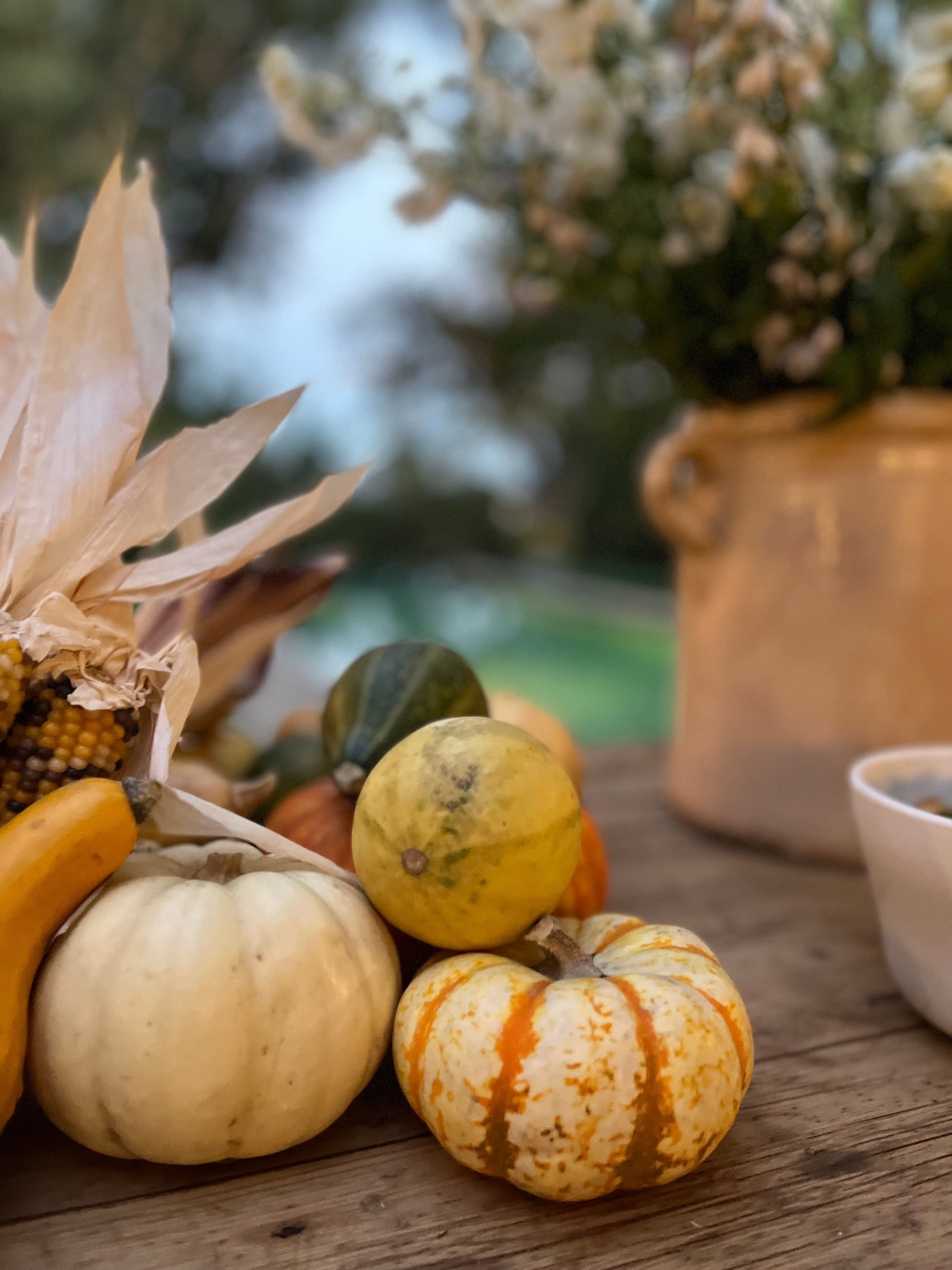 Gourds - Thanksgiving - Harvest