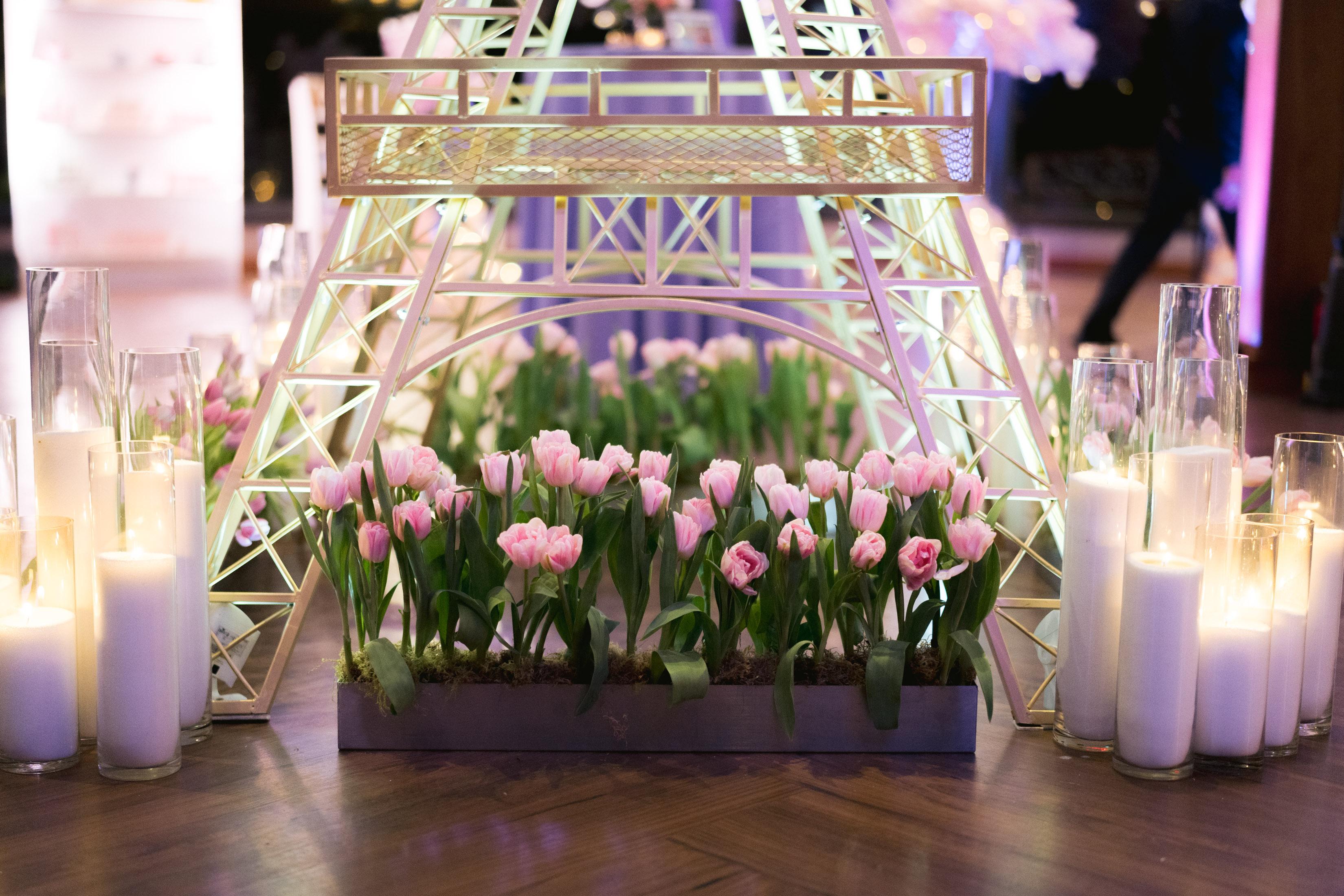 Eiffle tower surrounded by Tulips